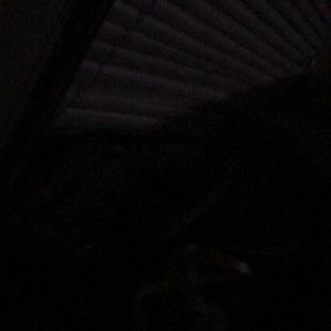 Meet your Posher, Ricki